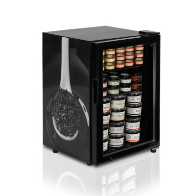 Холодильна шафа для ікри TEFCOLD UR90G-SUB ZERO