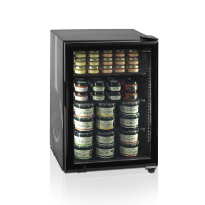 Холодильна шафа для ікри TEFCOLD UR90G-SUB ZERO