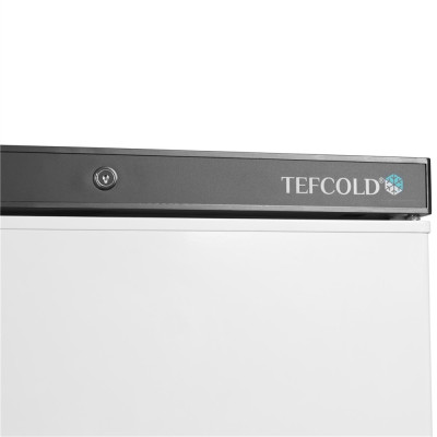 Морозильна шафа TEFCOLD UF400