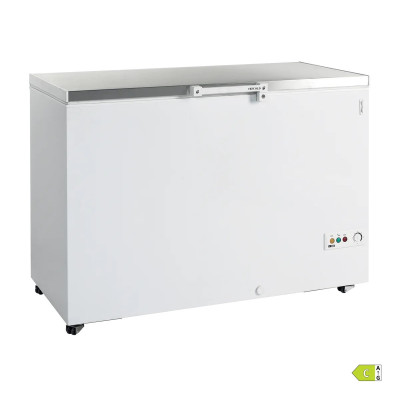 Скриня морозильна TEFCOLD FR405S SL
