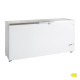 Скриня морозильна TEFCOLD FR605S SL