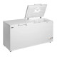 Скриня морозильна з глухою кришкою TEFCOLD FR606 SL