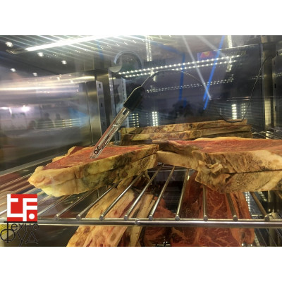 Шкаф для созревания мяса DX1000