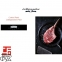Шкаф для созревания мяса AC9510 STG GREEN  MEAT 1500 INOX  7