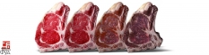 Шкаф для созревания мяса AC9500 STG GREEN MEAT 700 INOX 4